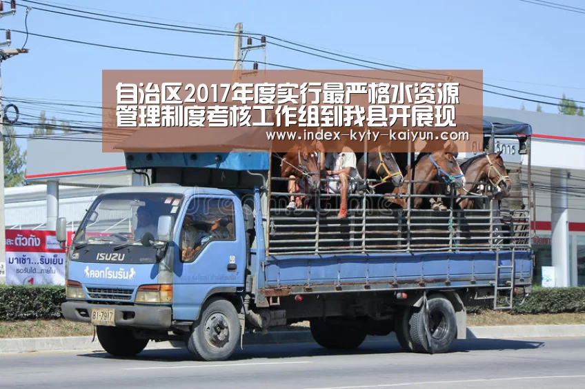 开云品牌