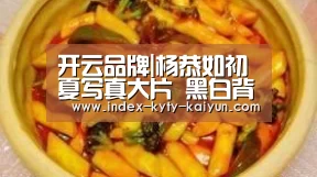 开云中国官网