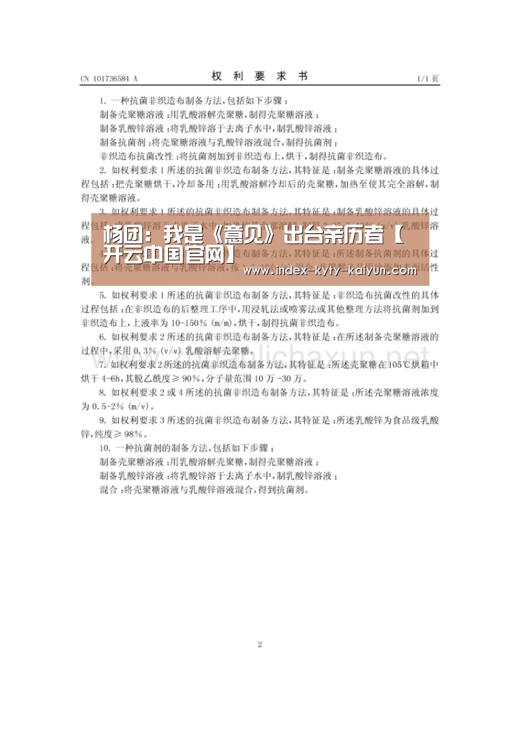 杨团:我是《意见》出台亲历者【开云中国官网】(图2) 开云官方平台