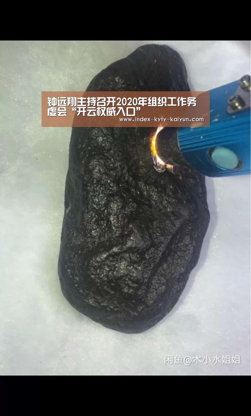 钟远翔主持召开2020年组织工作务虚会“开云权威入口”(图4) 开云综合服务