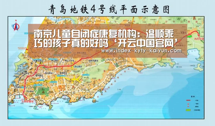 开云权威入口