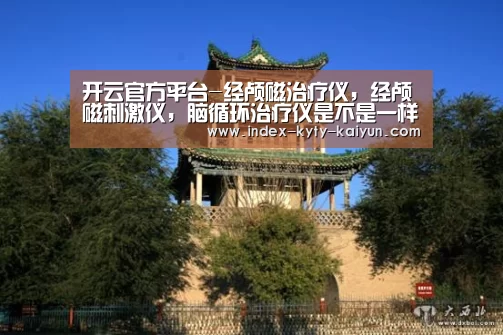 开云官方平台-经颅磁治疗仪,经颅磁刺激仪,脑循环治疗仪是不是一样的(图3) 开云官方平台